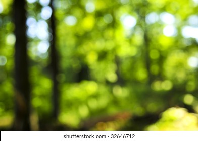 Green Natural Background Of Out Of Focus Forest Or Bokeh