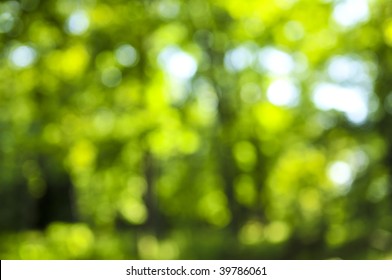 Green Natural Background Of Out Of Focus Forest Or Bokeh