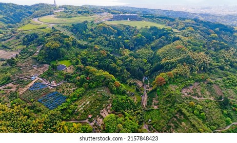 Green Natural Forest Aerial View. Environment Concept.