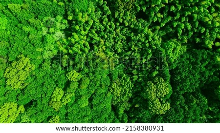 Green natural forest aerial view. Environment concept.
