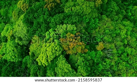 Green natural forest aerial view. Environment concept.