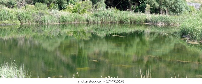 Green Natural Lake On Menderes River In Summer