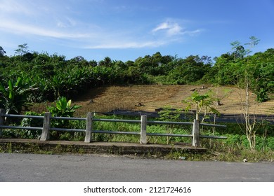 A Green Natural Landscape And There Is An Open Area That Is No Longer Plant