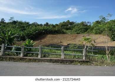 A Green Natural Landscape And There Is An Open Area That Is No Longer Plant