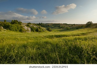 Green natural meadow with grass and beautiful sky