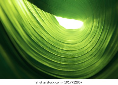 green natural plant leaf blurred abstract eco-friendly background