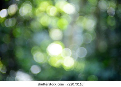 Green Nature Abstract Background
Abstract Nature
Green Nature