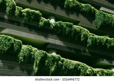 Green Nature Facade On Modern Futuristic Building In Singapore City