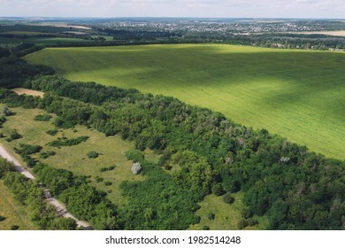 俯瞰 森 の画像 写真素材 ベクター画像 Shutterstock