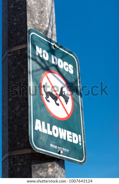 Green No Dogs Allowed\
sign in the park