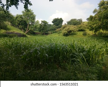 Green Nuture Beautyful Park In