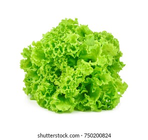 green oak lettuce on white background - Powered by Shutterstock