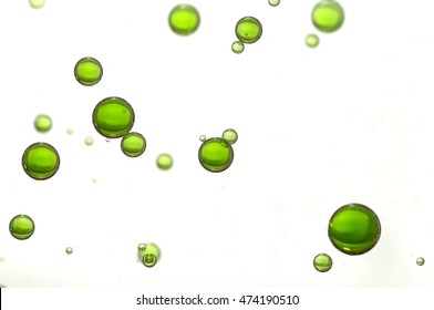 Green Oil Bubbles Soars Over A Blurred Background