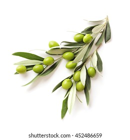 green olives branch isolated on white background. copy space