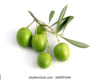 Green Olives With Olive Tree Branch Isolated