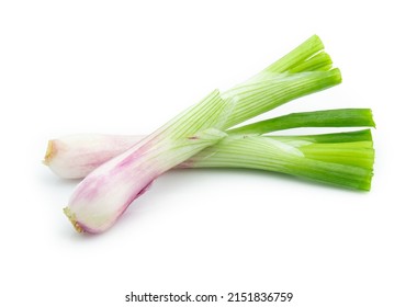 green onion isolated on white background