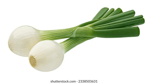 Green onion isolated on white background with clipping path - Powered by Shutterstock