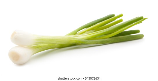 Green Onion Isolated On The White Background