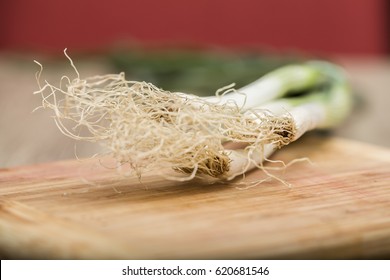 Green onion with roots