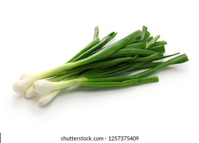 42,073 Mexican green onions Images, Stock Photos & Vectors | Shutterstock