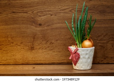 green onion in a white pot with heart pattern on the wooden background. High quality photo