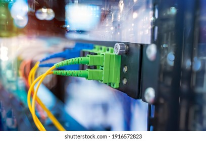 green optical patch cords inserted into the green optical ports, professional external device for television
