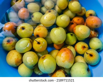 Green And Orange Jujube Fruit