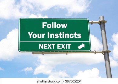 Green overhead road sign with a Follow Your Instincts Next Exit concept against a partly cloudy sky background. - Shutterstock ID 387505204