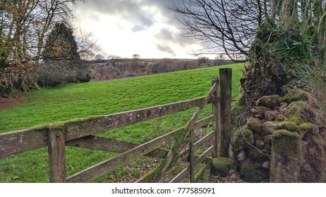 Green Paddock Behind Old Wooden Gate Stock Photo 777585091 | Shutterstock