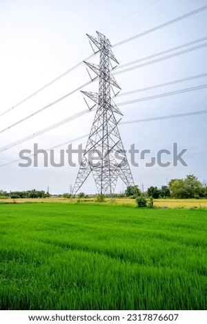The green Paddy with High Voltage electric pylon and electric wire, Power and Energy Concept.