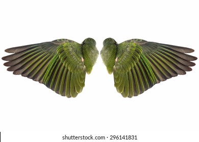 Green Pair  Of Sprawling Bird Wings  Isolated On White