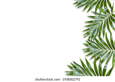 Green Palm Leaf Branches On White Background. Flat Lay, Top View