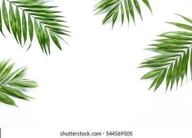 green palm leaf branches on white background. flat lay, top view - Shutterstock ID 544569505