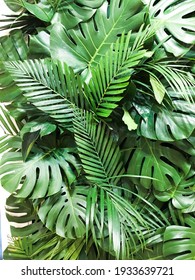 Green Palm With Monstera ,leaves In A Pile Close-up.

