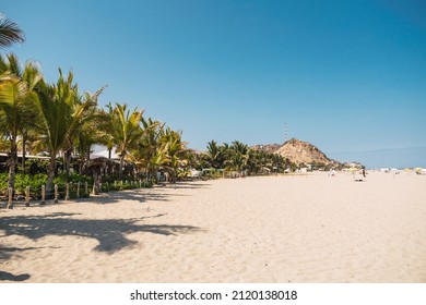 green palm trees on the beach and waves on a sunny day surrounded by a blue sky in punta sal mancora piura