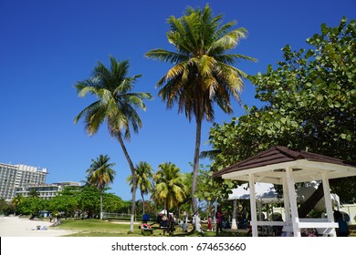 Green Palm Trees, White Sand And Clear Blue Sky Located At Ocho Rios Bay Beach (Turtle Beach) In Jamaica. (March 2017)