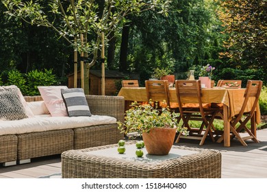 Green pant on wicker coffee table in front of Dining table covered with orange tablecloth standing on wooden terrace in green garden - Shutterstock ID 1518440480