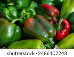 Green paprika close up. Giant bell pepper fruits. Salad vegetables. Vegetarian organic food planted at courtyard garden. Healthy diet.