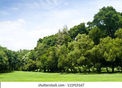 Green park with blue sky