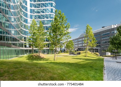 Green park next to business center buildings detail. Healthy greenery with modern glass high rising skyscrapers and blue sky background. Abstract urban development and architecture wallpaper.
