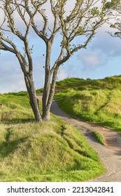 Green Park Trail In A Park In Mt. Eden, Auckland, New Zealand