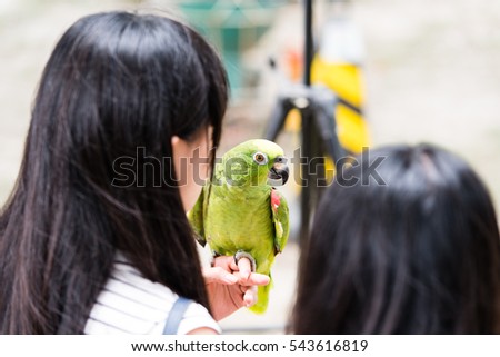 Green parrot sitting on hand of woman, selective focus