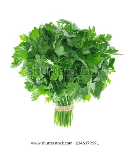 green parsley in bunche on a white background. Fresh greens. Fresh herbs, seasoning for cooking. Spicy herbs.Organic products. Isolated on white.
