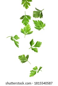 Green parsley leaves falling on white background - Shutterstock ID 1815540587