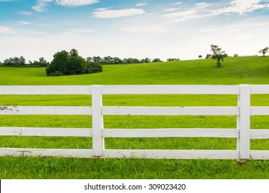 Green pastures of horse farms with white wooden fence. Country summer landscape.