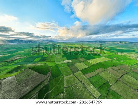 Green Patchwork Fields and Pasturelands in Evening. Terceira Island, Azores, Portugal. Aerial Panoramic View