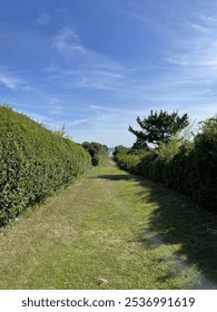 Green Path to the Beach