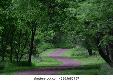 GREEN PATH IN THE FOREST DURING SPRING