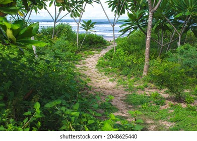 Green path way to the beach
