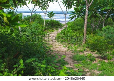 Green path way to the beach